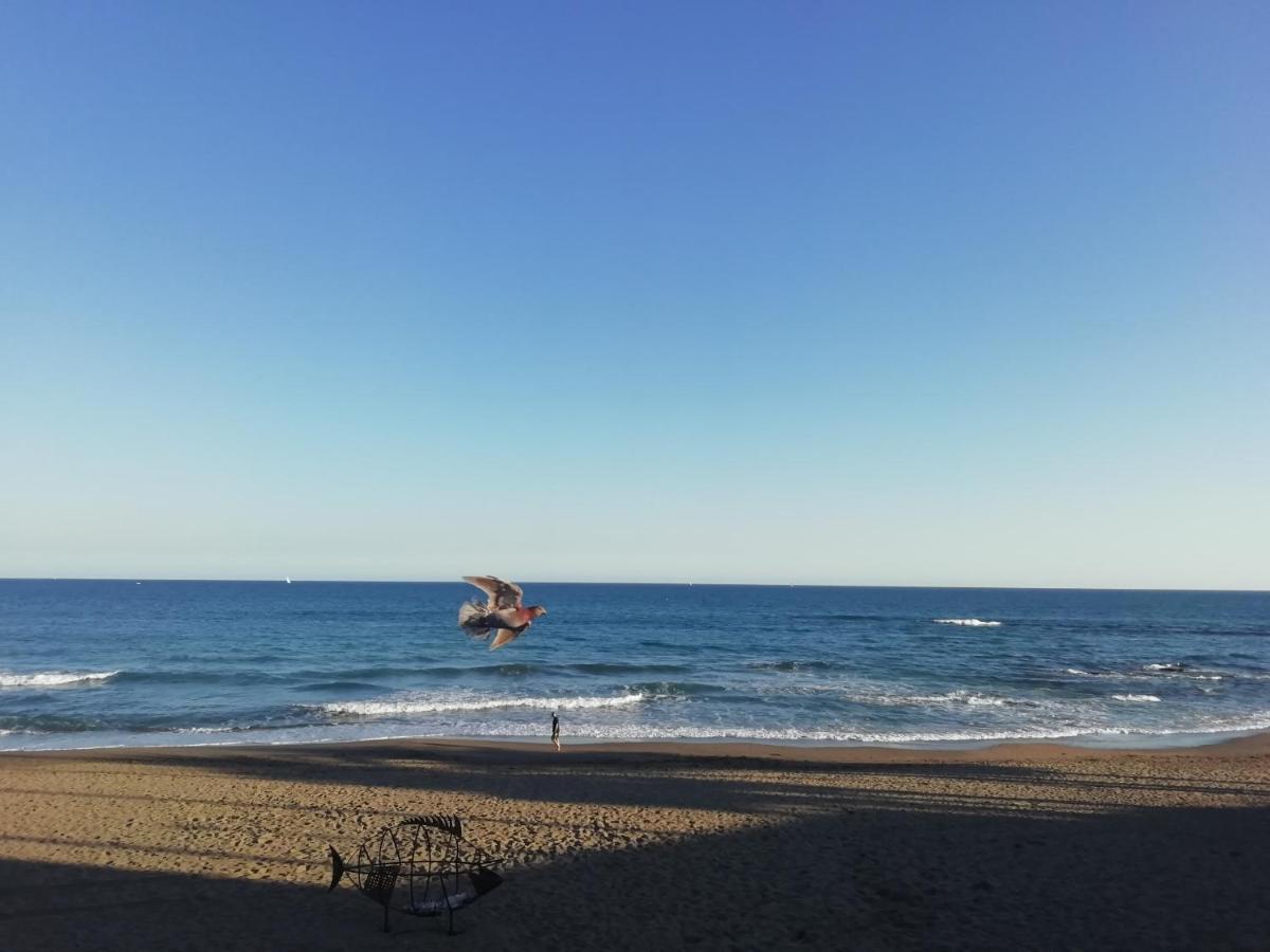Apartamento-Estudio Benalmadena Maite-3 Zewnętrze zdjęcie